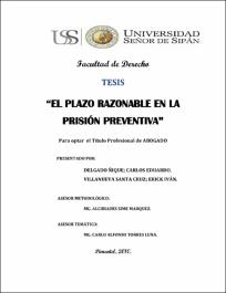 El Plazo Razonable En La Prisión Preventiva